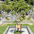 東京都町田市の樹木葬：樹木墓地 宙