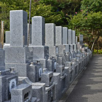 一般墓地