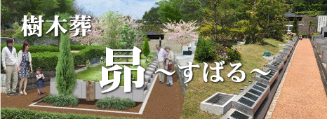 東京都町田市の樹木葬:樹木葬 昴(すばる)