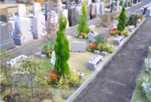 樹木墓地〜緑の庭「凛」〜