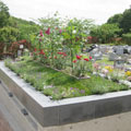 東京都町田市の樹木葬：樹木型墓地 花