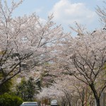 風景