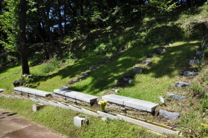 東京都町田市の樹木葬：木の精