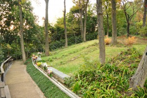 東京都町田市の樹木葬：風の旅人