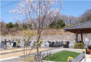 東京都町田市の樹木葬：エンディングセンター桜葬　文音3