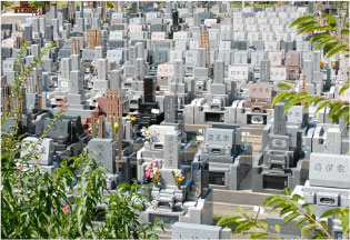 和型墓地1