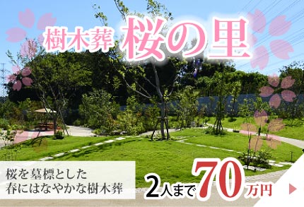 東京都町田市の樹木葬：樹木葬桜の里　2人まで70万円