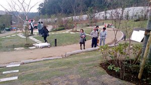 墓地を整備
