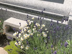 お墓イメージ