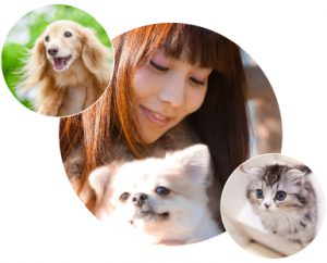 ペットイメージ
